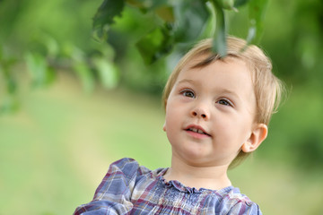 Portrait of cute little girl picking fruits from tree