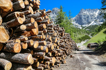 Gefällte Bäume an einem Wanderweg in Ramsau am Dachstein. Wood at a mountain trail at ramsau at the dachstein, austria,