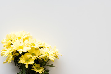 High angle view of yellow daisies on a white table