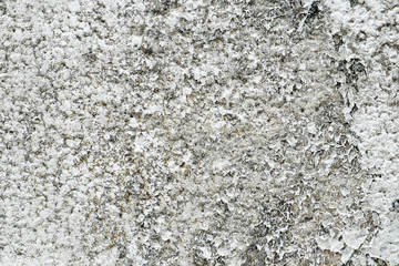 Concrete texture and background