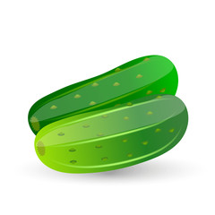 Cucumber vector illustration. Cucumbers isolated on white background