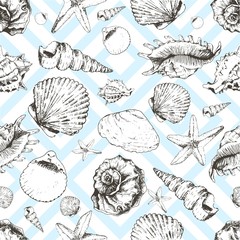 Vector seamless pattern of seashels. Isolated on light blue geometric trendy background.