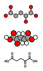 Alpha-ketoglutaric acid (ketoglutarate, oxo-glutarate). 