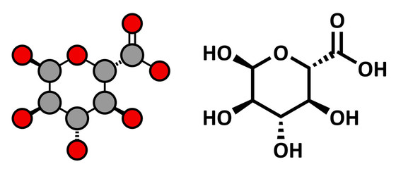 Glucuronic acid molecule.  - obrazy, fototapety, plakaty