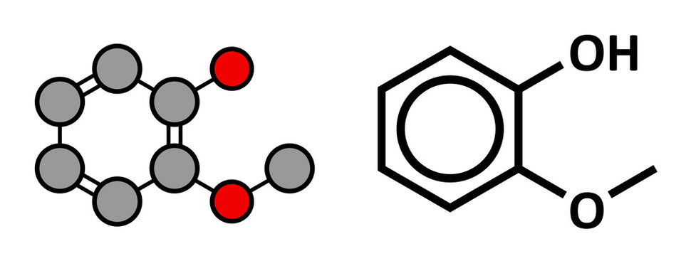 Guaiacol aromatic molecule. 