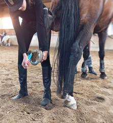 Obraz premium Young woman rider cleaning her horses hoof