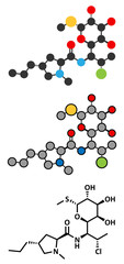 Clindamycin antibiotic drug (lincosamide class) molecule.