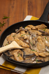 Chicken Stroganoff a variation on Beef Stroganoff. Selective focus.