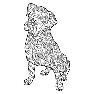 Vector monochrome hand drawn zentagle illustration of boxer dog.