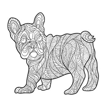 Vector monochrome hand drawn zentagle illustration of French bulldog