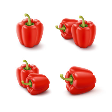Vector Set of Red Sweet Bulgarian Bell Peppers, Paprika Isolated