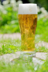 cold beer