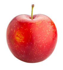 red plums
