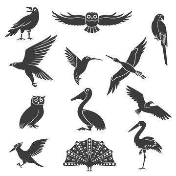 Stylized Birds Silhouettes Black Icons Set 
