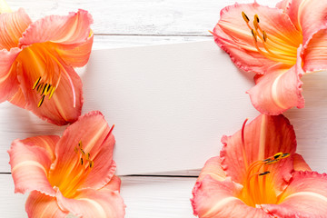 frame of flowers, background white boards