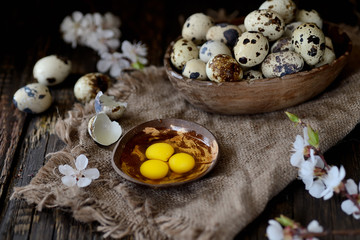 Fototapeta na wymiar Quail egg yolks in a white plate on a wooden background