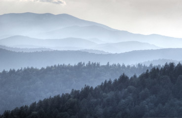 Blue layers of the Smoky Mountains. - 116790993