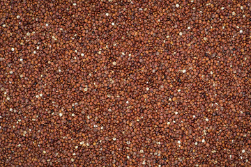 Red quinoa seed background