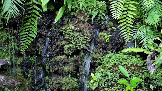 Small fake waterfall in garden surrounding by plants