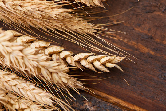 spikelets of wheat on the wooden background