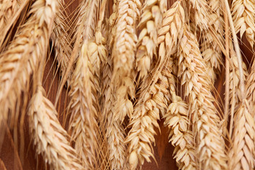 spikelets of wheat on the wooden background