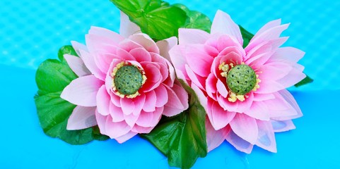 Wasserlilien © juwelle