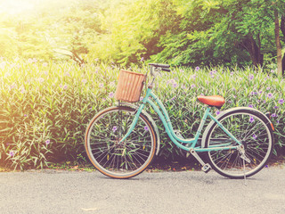Fototapeta na wymiar Vintage bicycle in the park at sunset