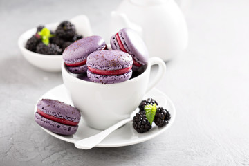 French macarons on a gray table