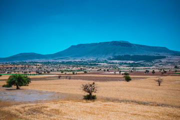 farmland in konya