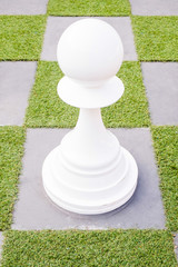 Playing Giant chess