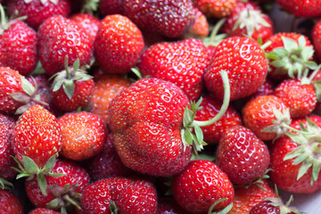 Lots of fresh bright red strawberries. Selective focus. Shallow