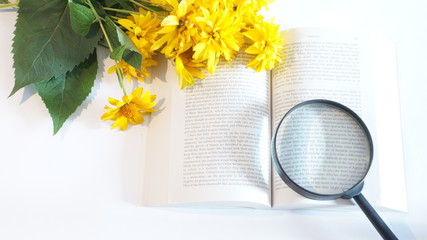 Книга и желтые цветы и белом фоне 