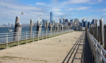 Mouettes sur la jetée à Ellis Island, New York USA