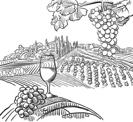 Naklejki  Kompozycja winnicy z winogronami i kieliszkiem wina