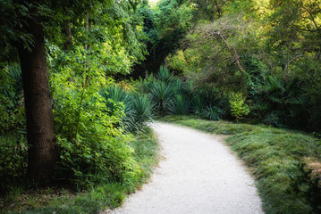 path between trees and bushes in the Park