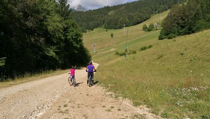 Vtt
