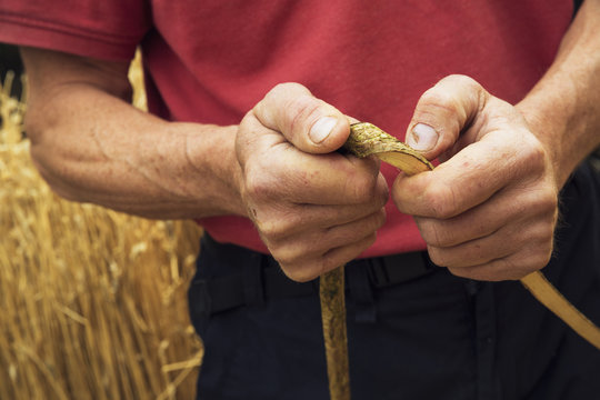 Close up of a thatcher holding a hazel wood spar.
