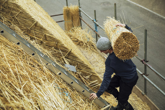 Thatcher carrying a yelm of straw up a roof.