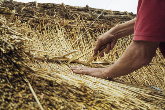 Thatcher standing on a roof, fastening straw at a seam.