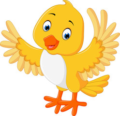 Cute yellow bird cartoon