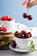 Fresh sweet cherries in cups
