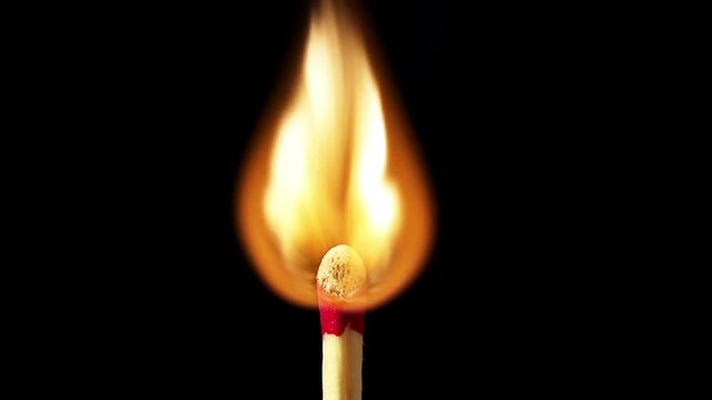 Slow motion macro shot of wooden match igniting.