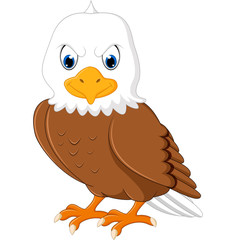 Obraz premium Cute eagle cartoon 