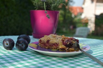 Piece of warm tart with plums and almonds served in a garden