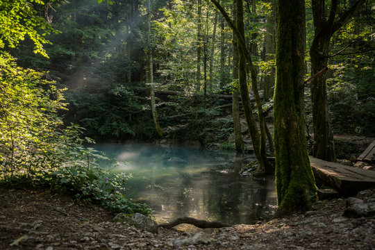 Fototapeta Magical forest, clear blue lake, wooden bridge, rays of light