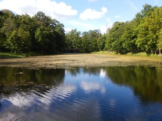 Landscape of the Plunge's park