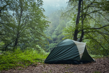 Green tent in the green misty forest