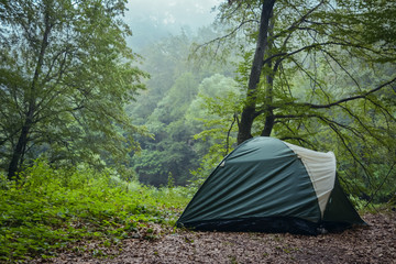 Green tent in the green misty forest