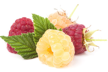 red and yellow raspberries with leaves on a white background