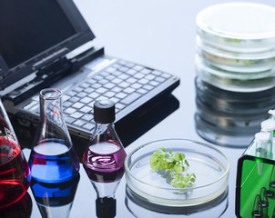 test tube retotr and green sprout in lab